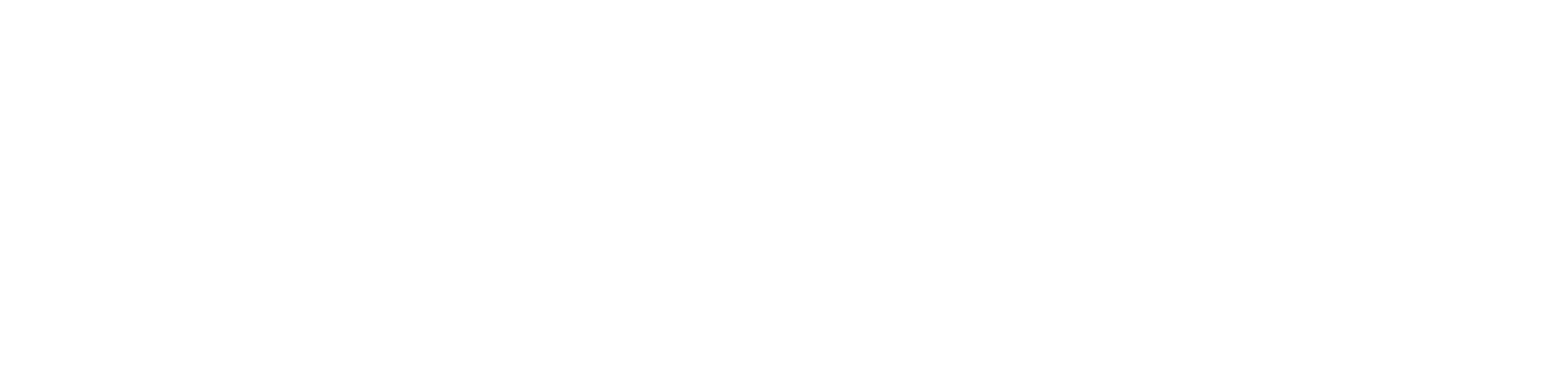 springer logo