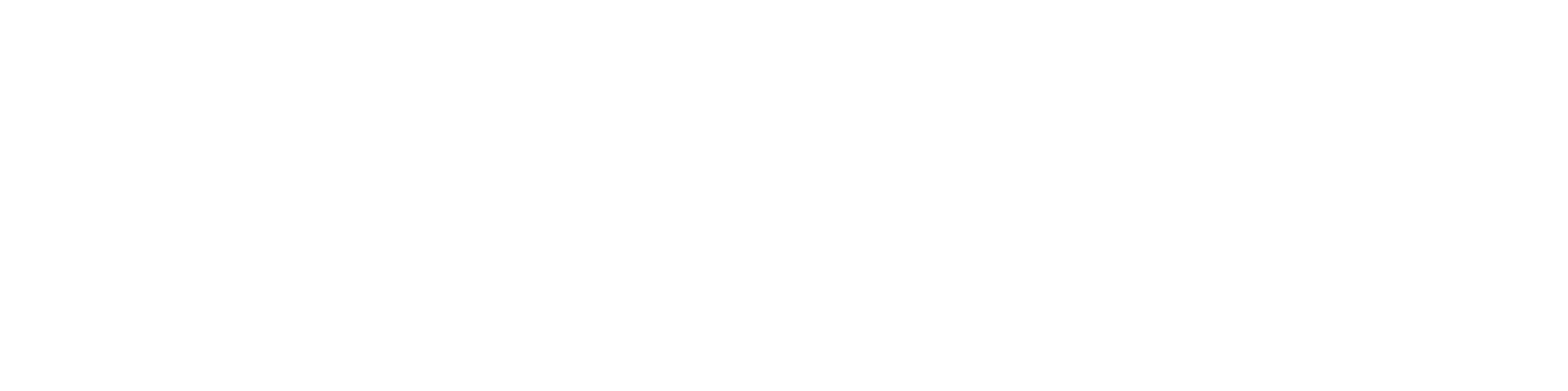 wanxiang logo