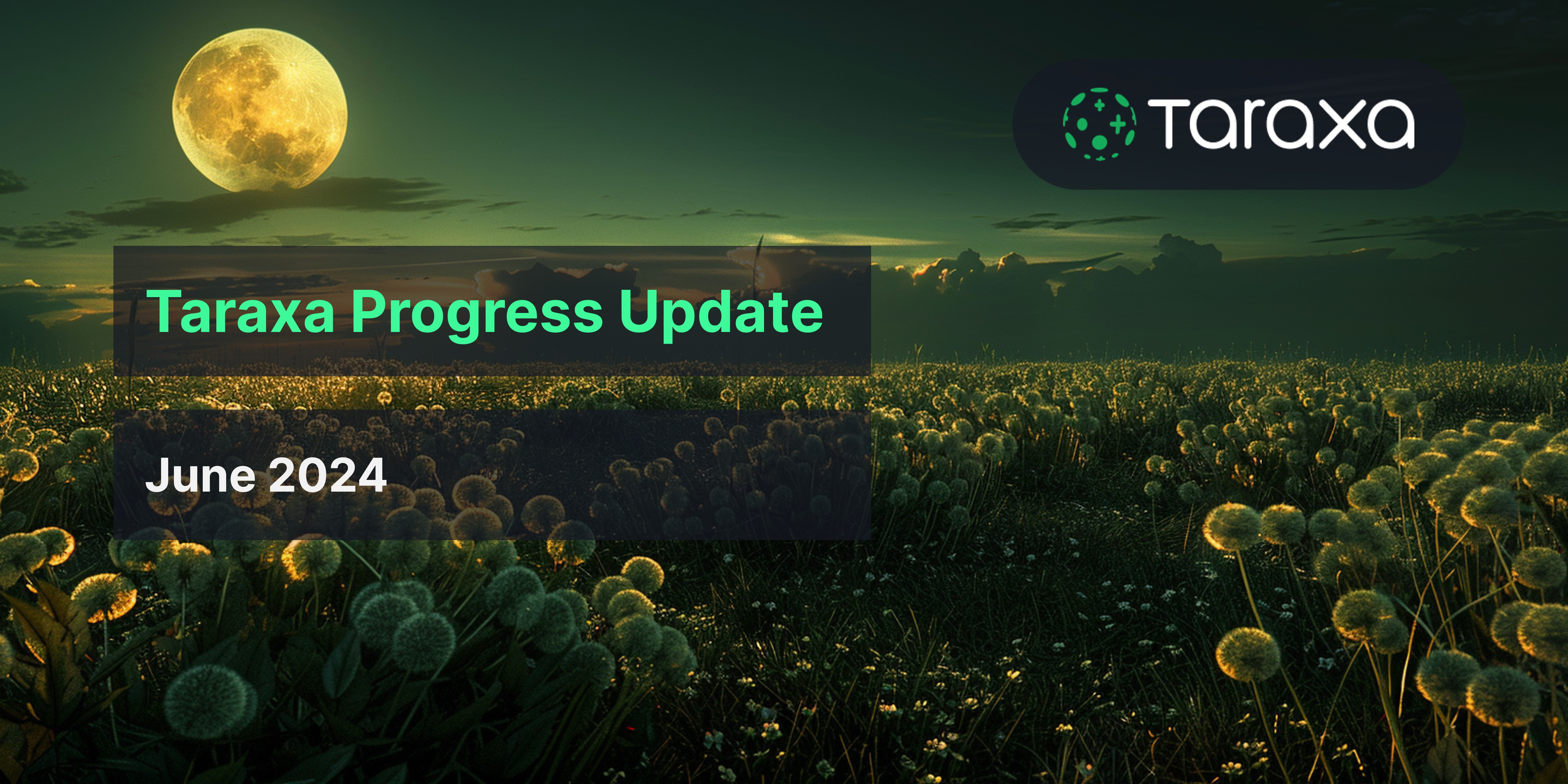 Taraxa Progress Update: June, 2024