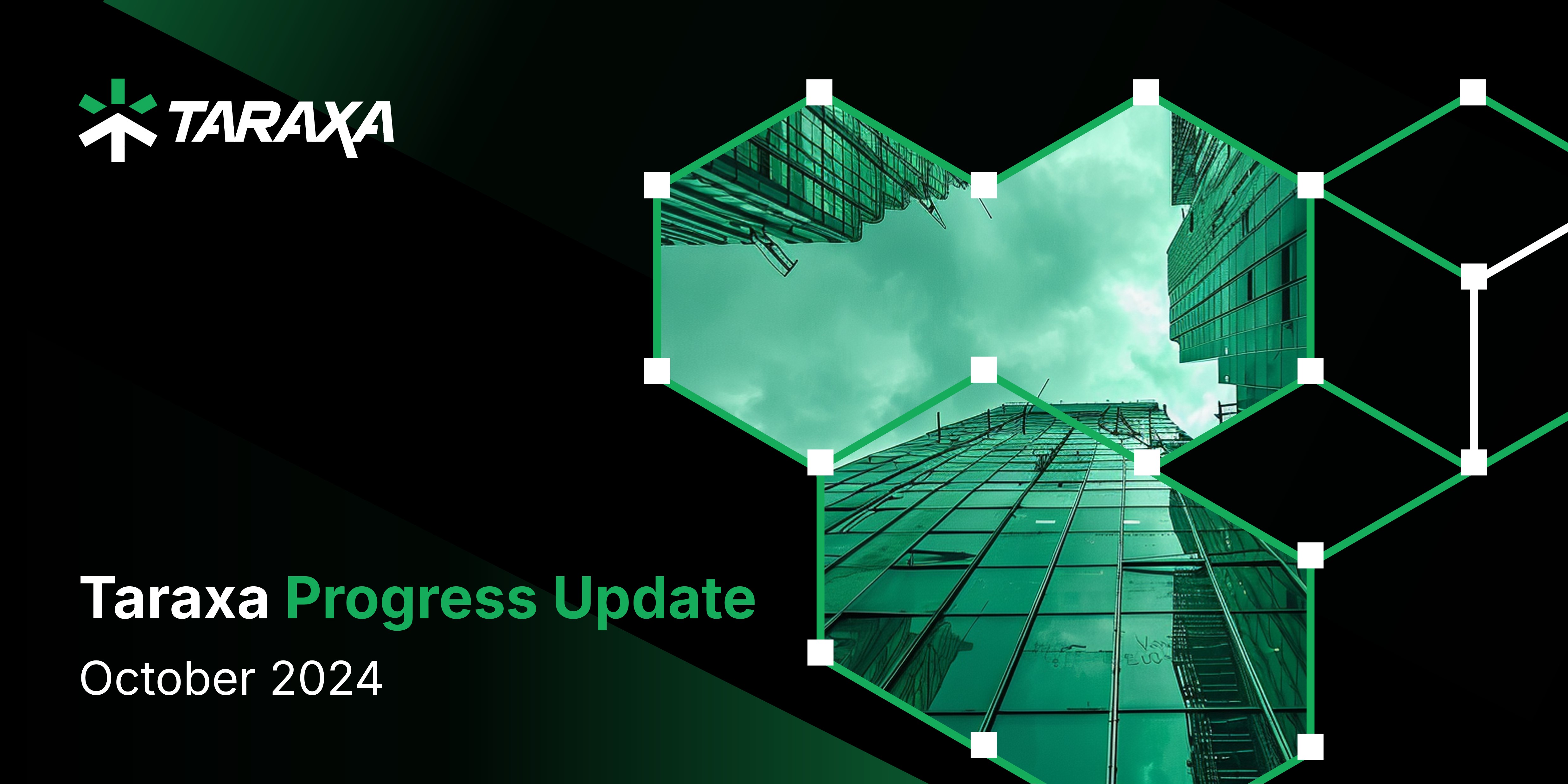 Taraxa Progress Update: October, 2024